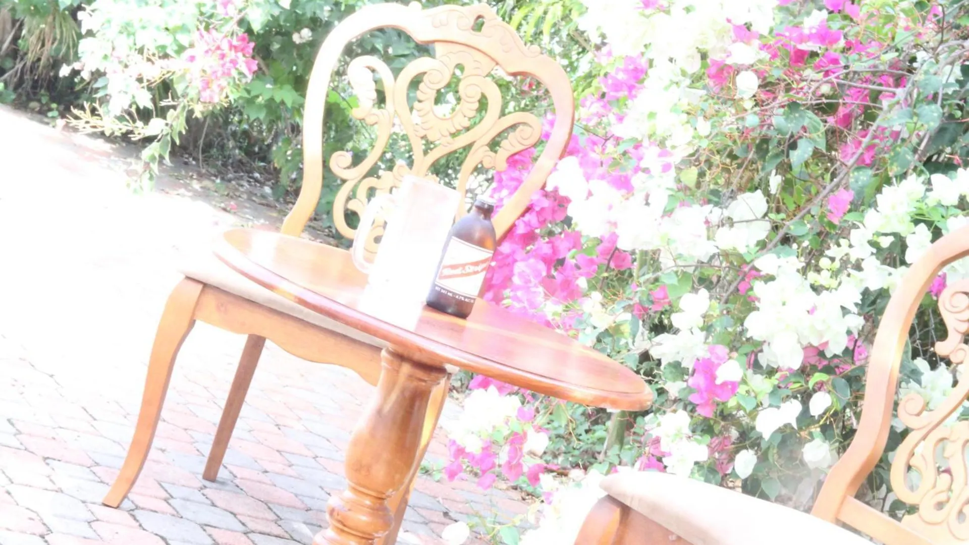 Sweetsop Jamaica Villa And Tours モンテゴ・ベイ