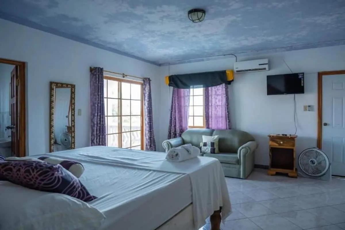 Sweetsop Jamaica Villa And Tours Montego Bay Gasthuis